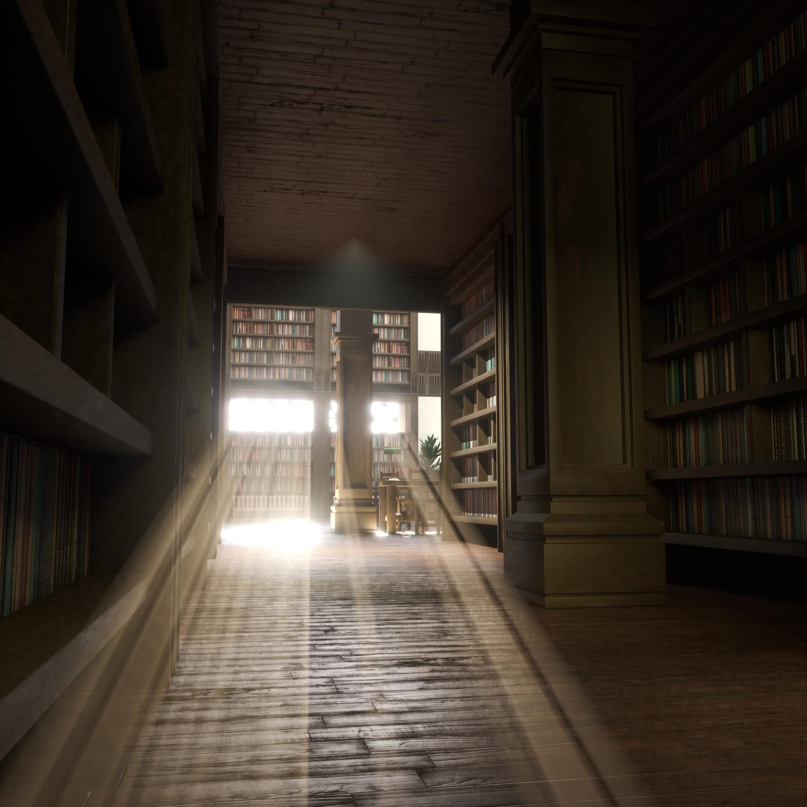 Corredor de uma biblioteca com estantes de livros dos dois lados e luz solar entrando pelo chão de madeira.